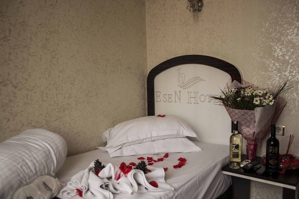 Hotel Grand Esen 3*